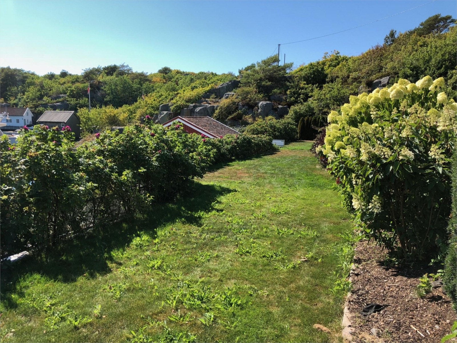 fra del av hagen Galleribilde