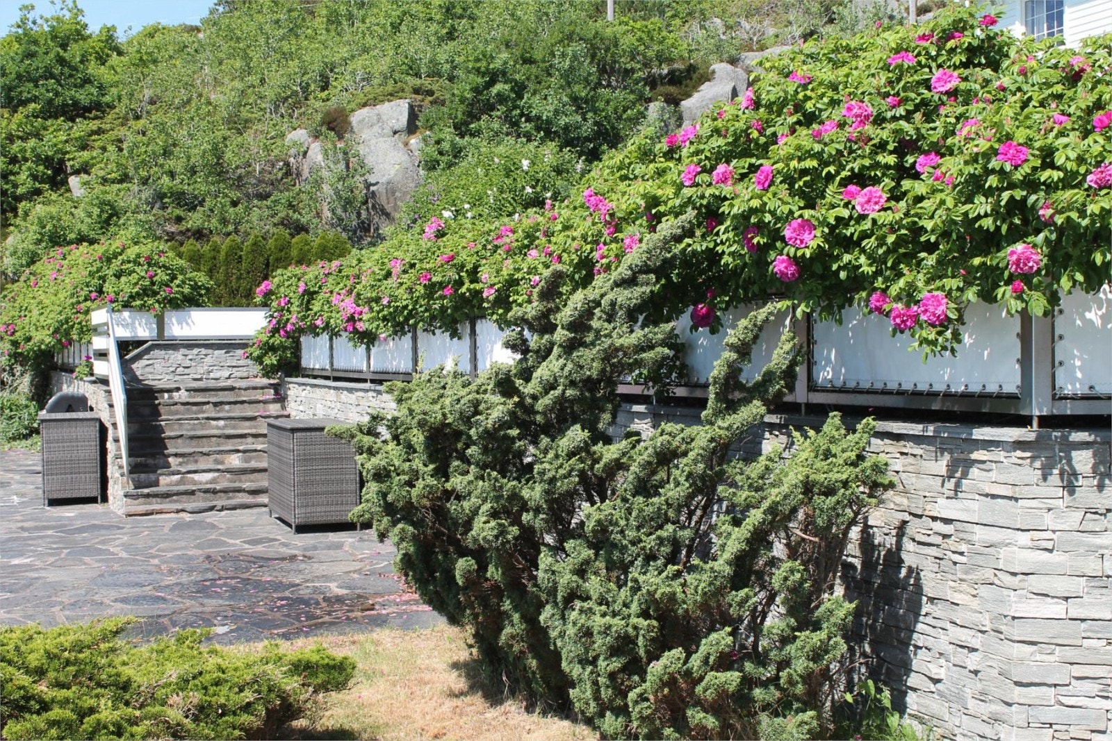 Fra del av hagen Galleribilde