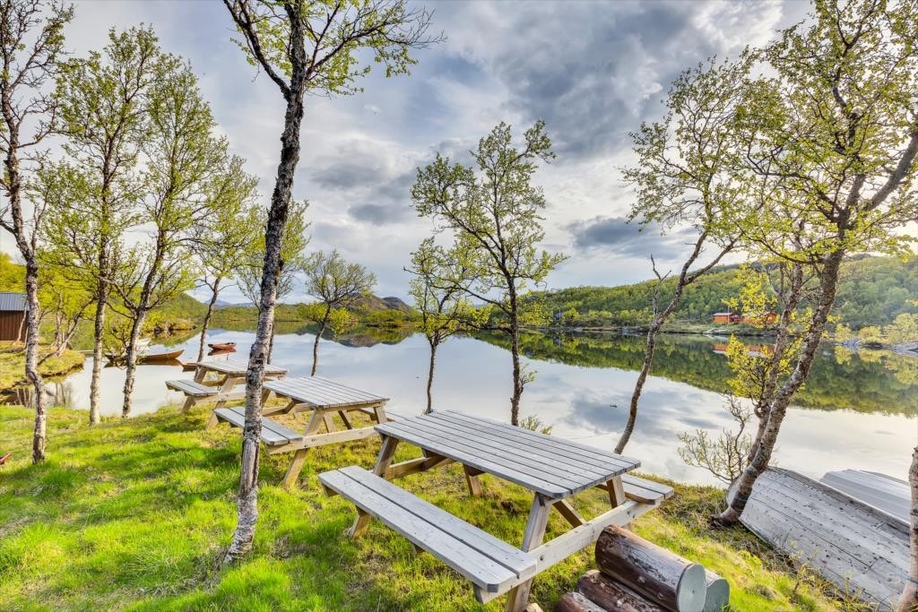 benker ved parkeringsplassen Galleribilde