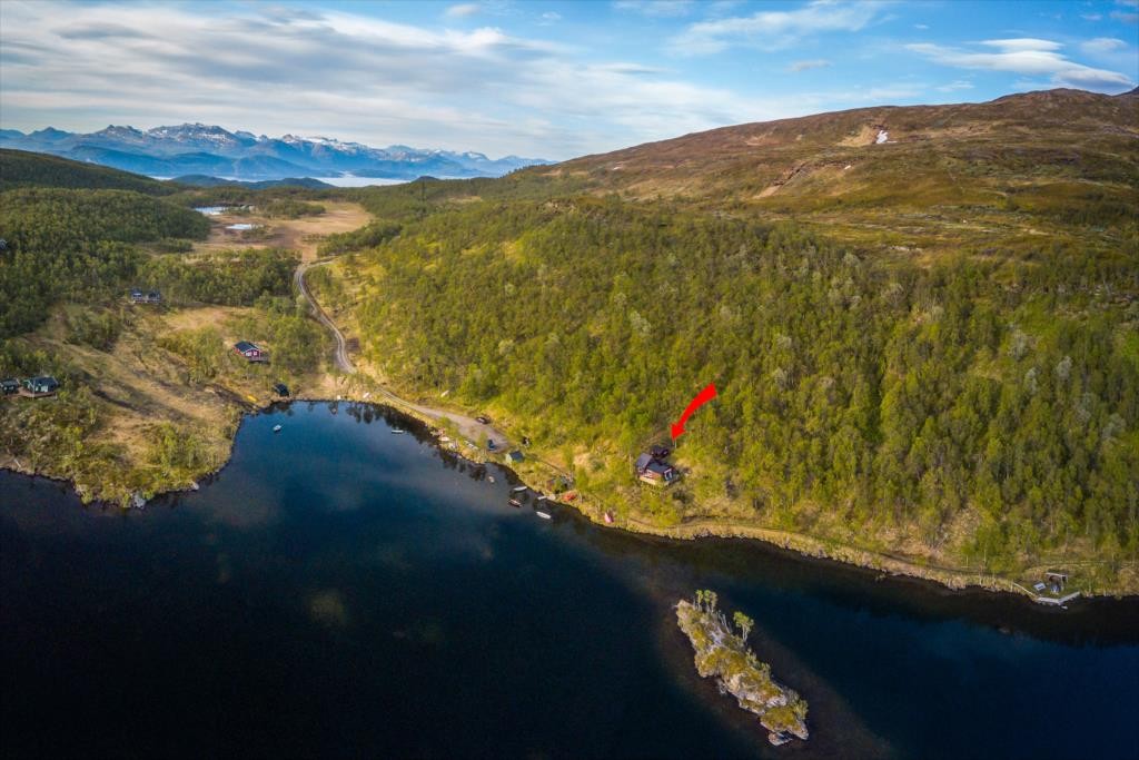 Oversiktsbilde Galleribilde