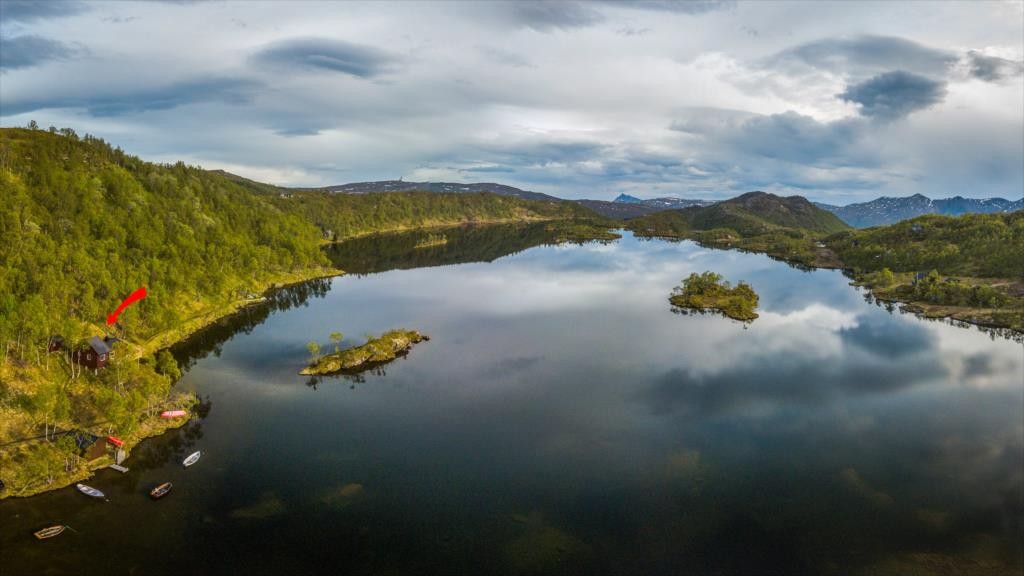 Oversiktsbilde Galleribilde