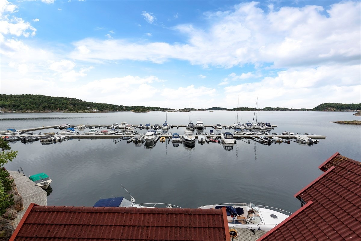 Nærområde Galleribilde