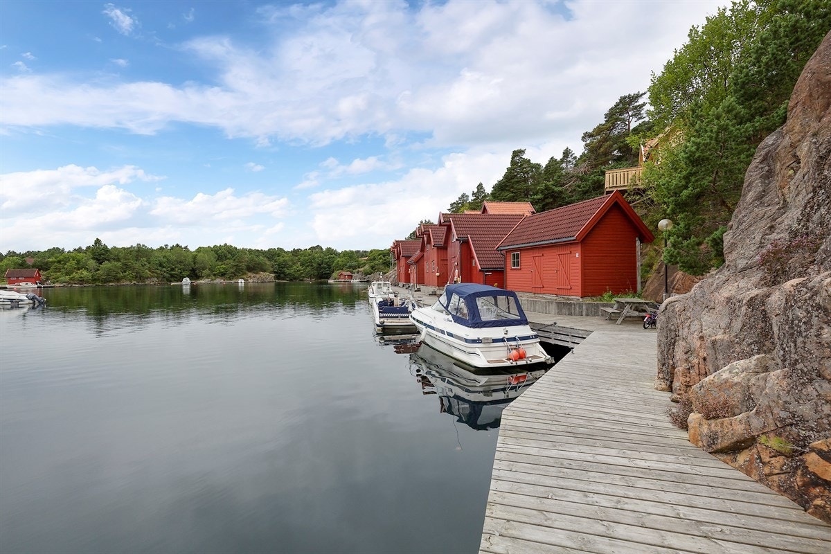 Organisert bryggeanlegg Galleribilde