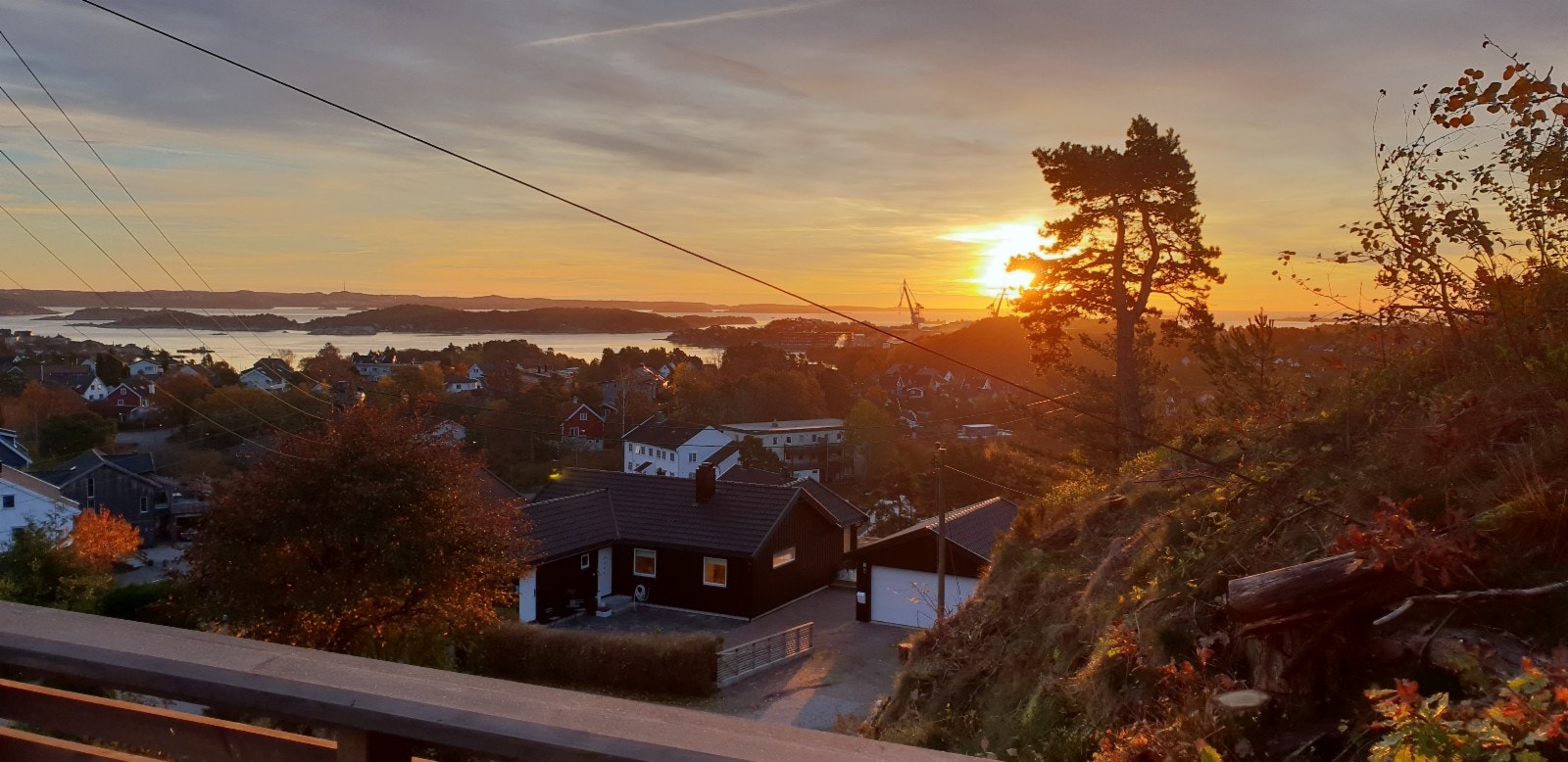 Morgensol sett fra stue Galleribilde