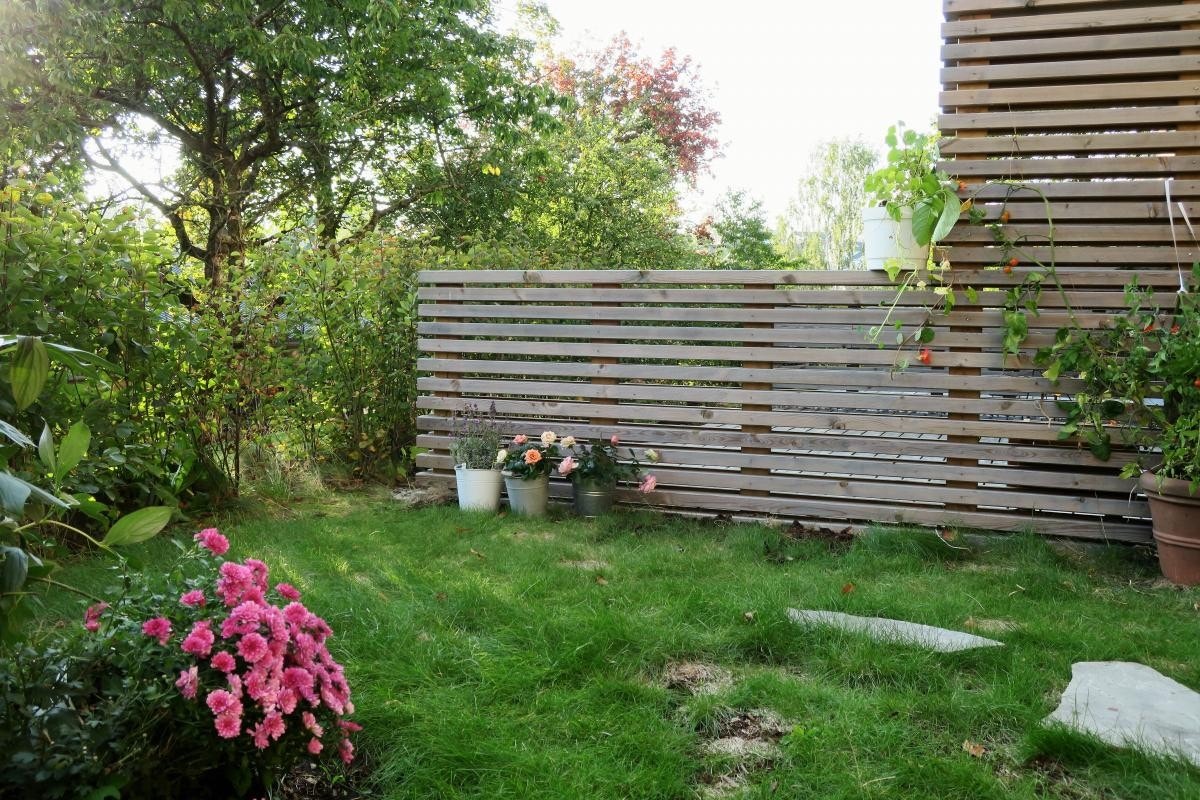 Hagen er en grønn oase sommerstid. I tillegg til å gi deg vakre omgivelser, fungerer hagen som en hyggelig plass for venner og familie. Galleribilde