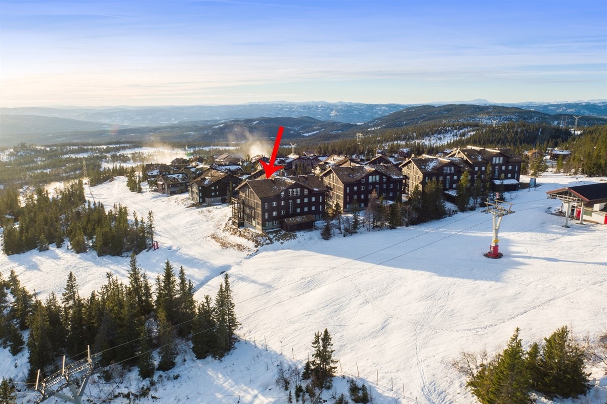 Beliggenhet Galleribilde