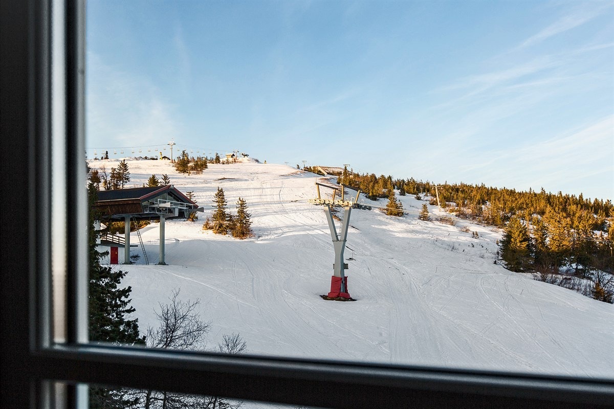 Utsikt til bakken. Galleribilde