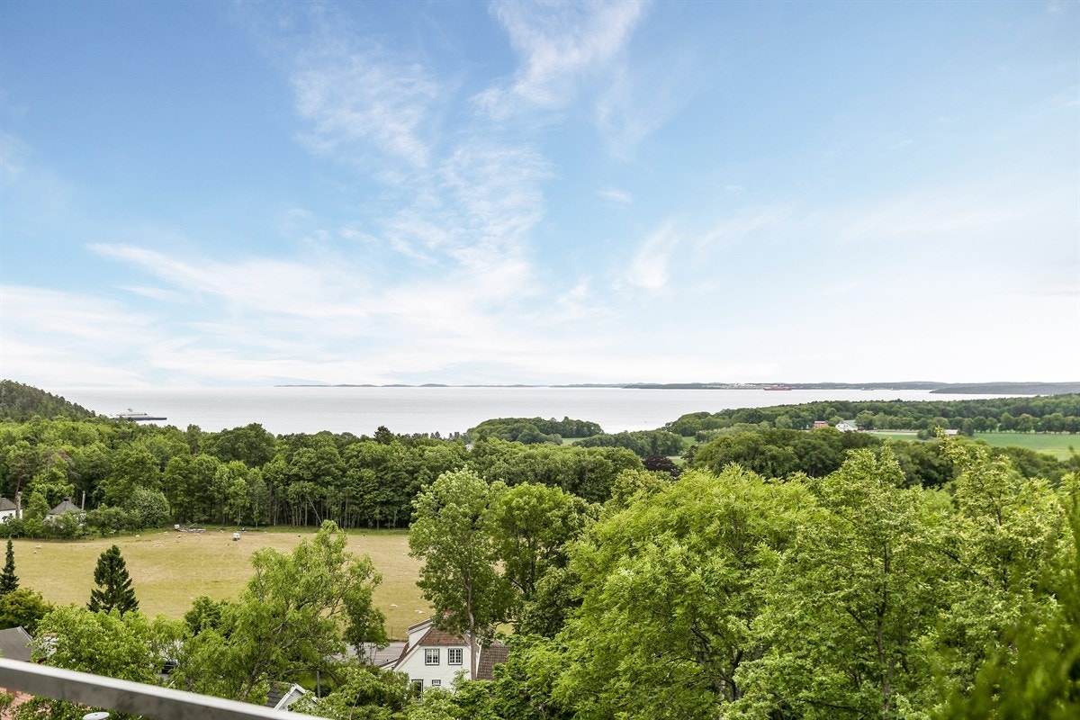 Velkommen på visning! Galleribilde