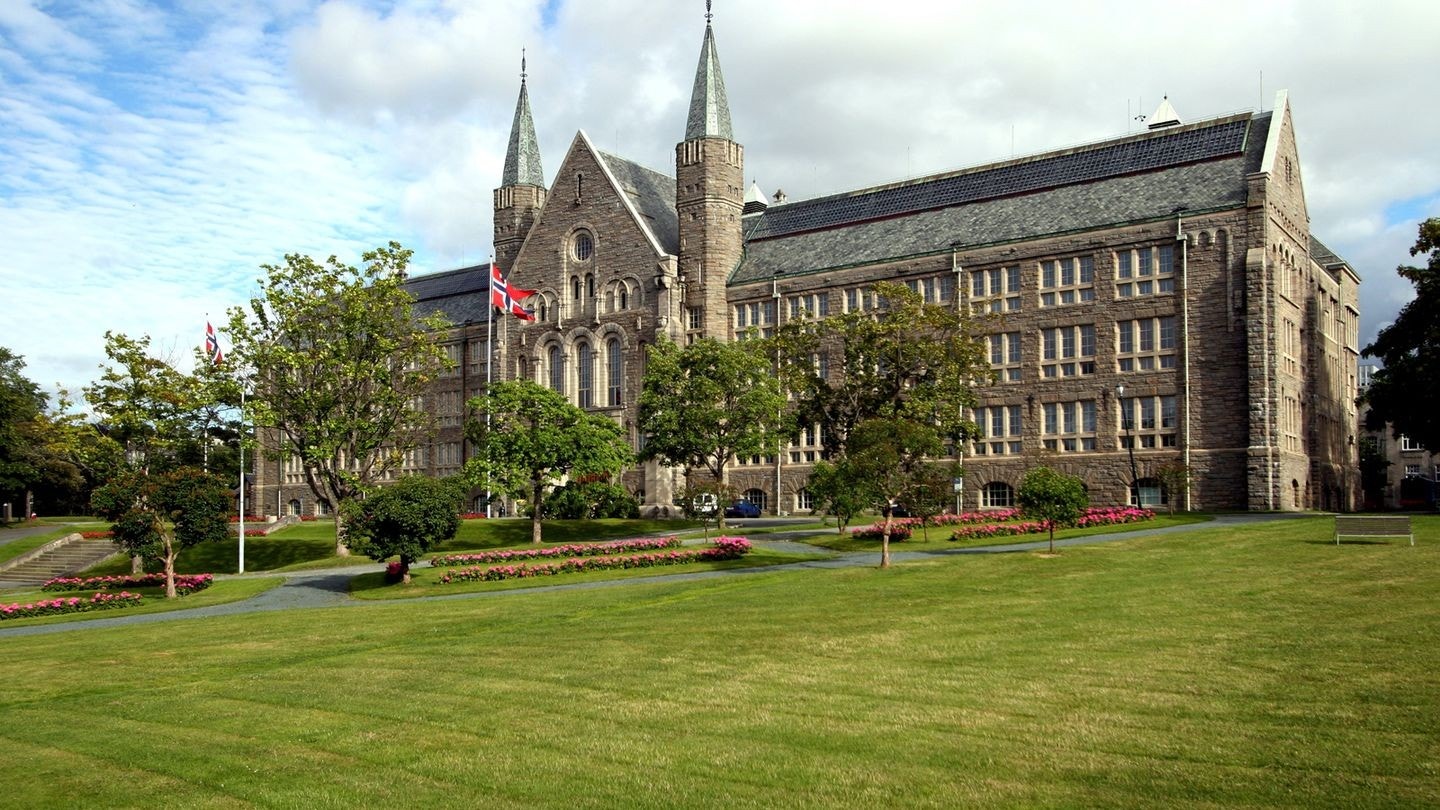 NTNU. 15 minutter gangavstand. Galleribilde