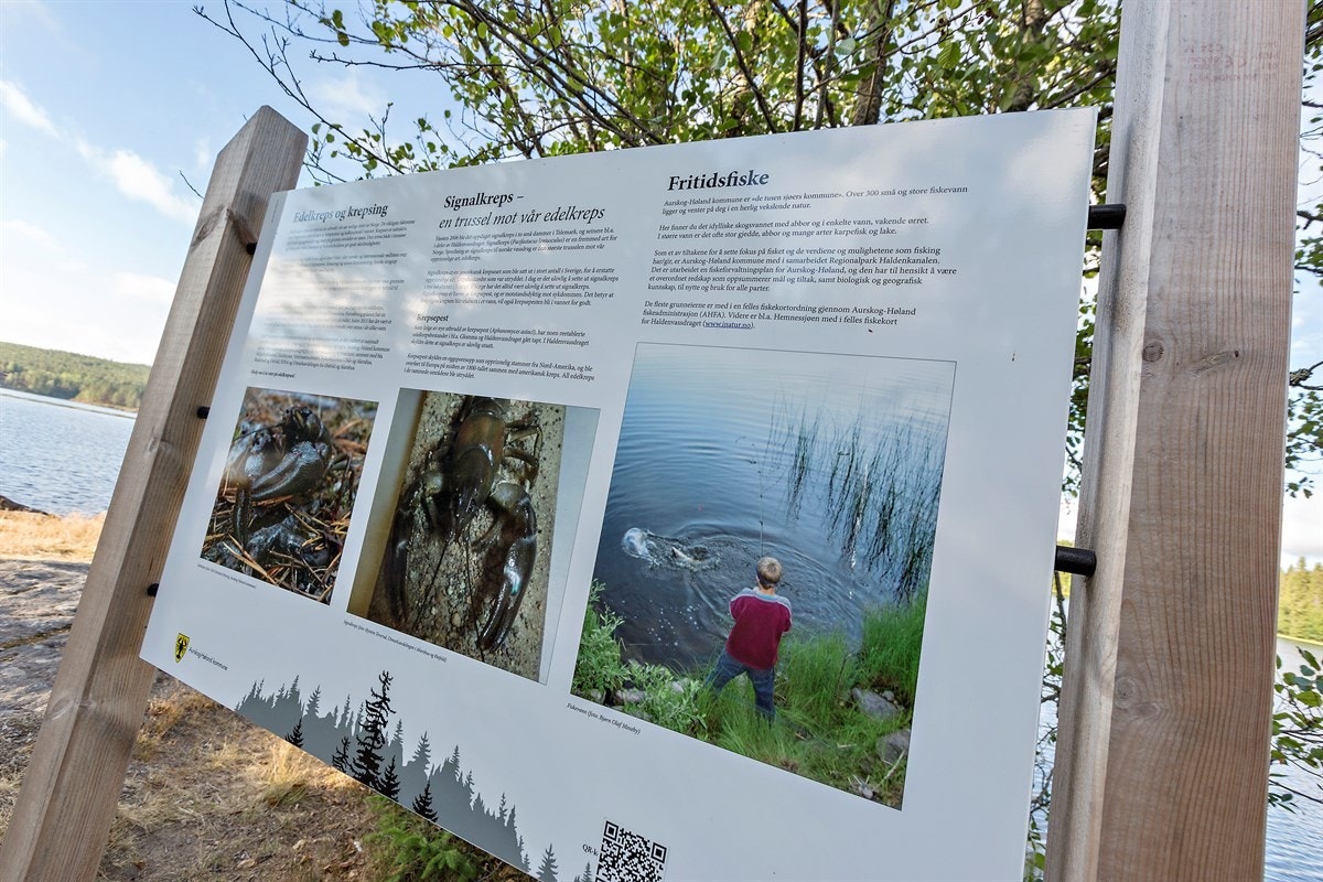 Fra eiendommen er det kort vei til naturskjønne turområder. Galleribilde