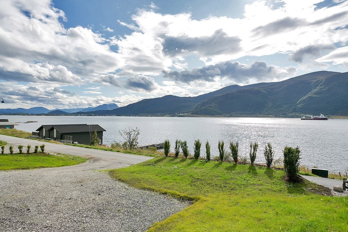 Beliggenhet nær fjøra Galleribilde