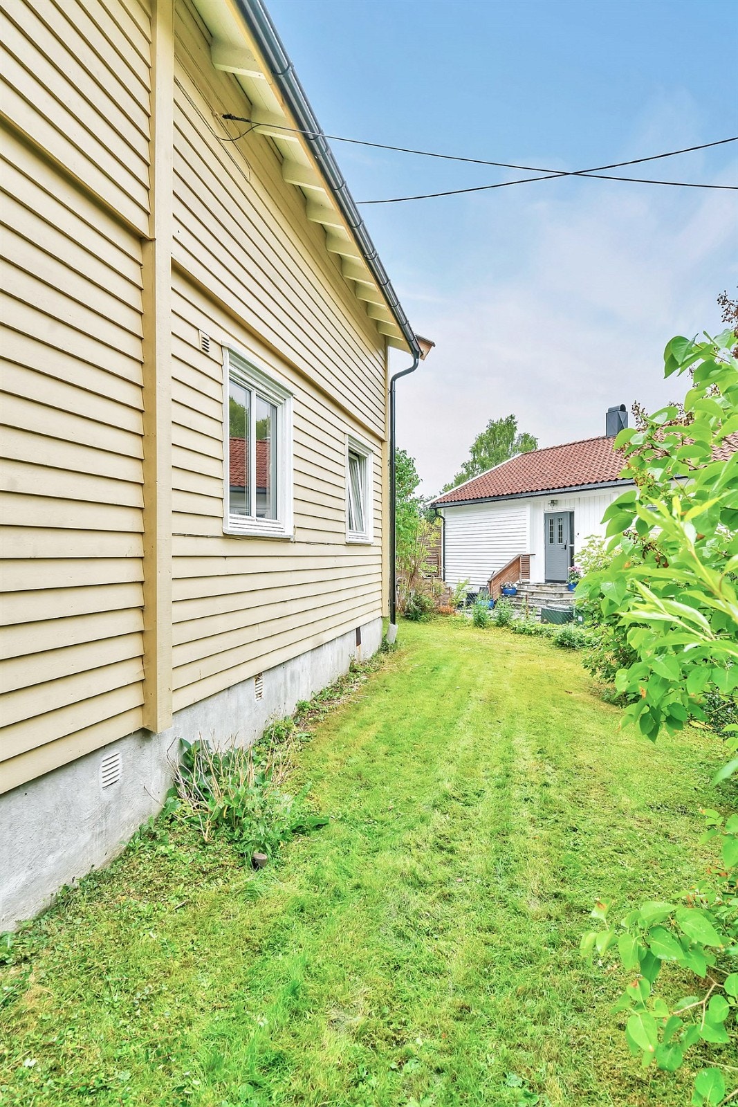 Gressplen rundt huset Galleribilde