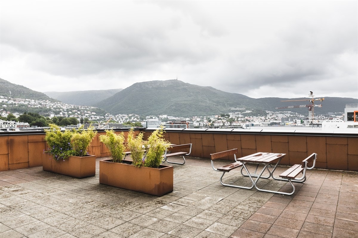 Sameiet har en felles takterrasse som beboerne kan benytte seg av. Galleribilde