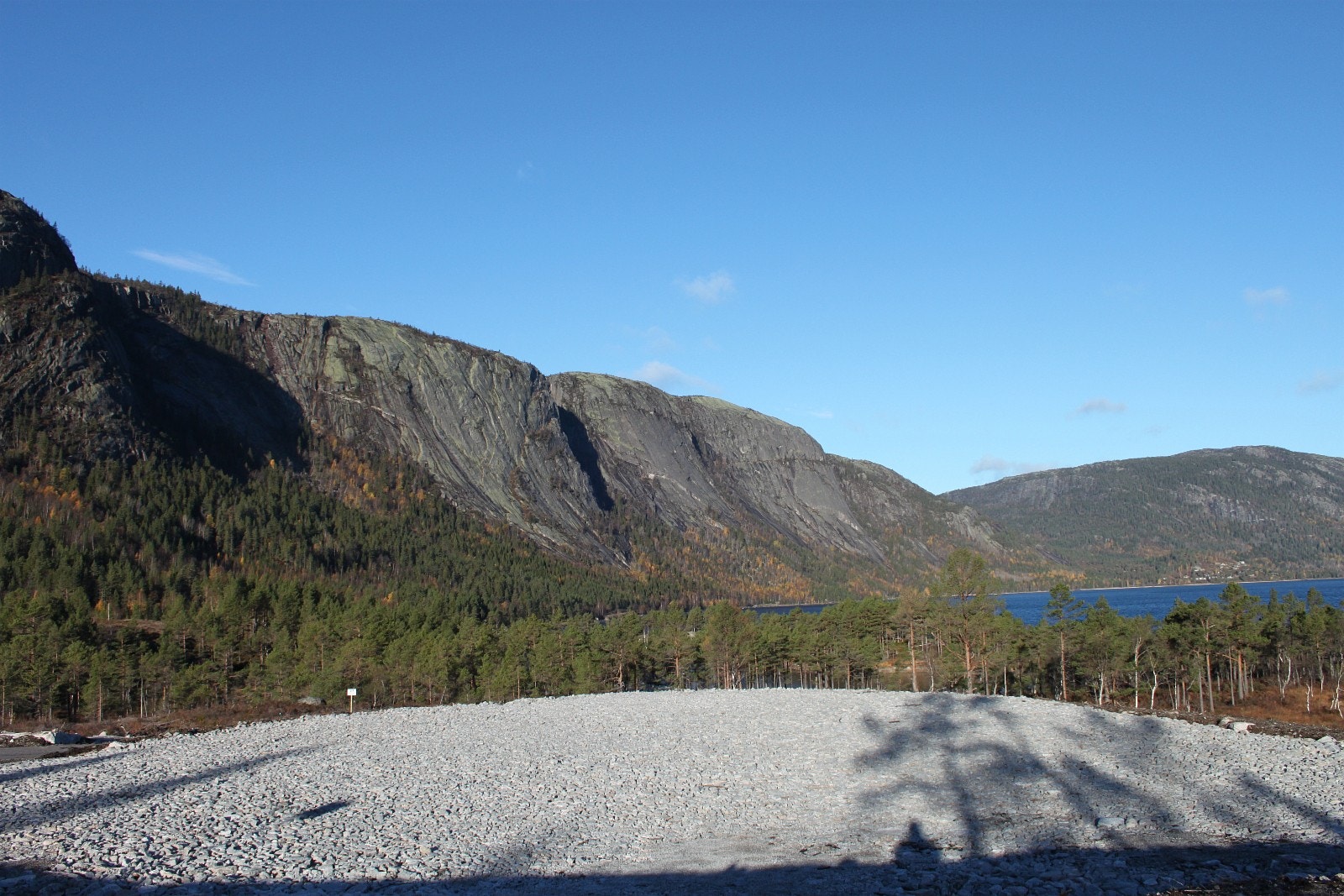 Fra tomt mot nord Galleribilde