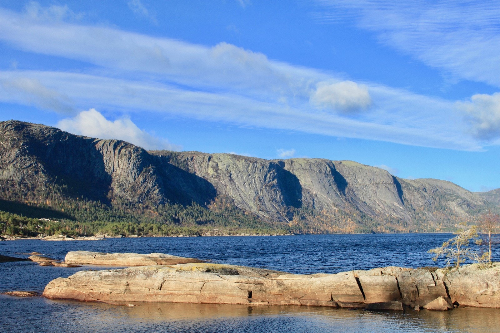 Langfjell sett fra Treungen - hyttefeltet ligg ca midt i bildet. Galleribilde