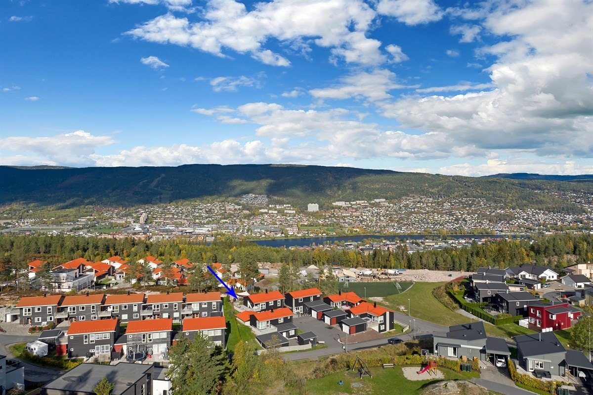 Flyfoto med pil Galleribilde