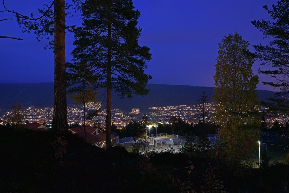 Utsikt kveld Galleribilde