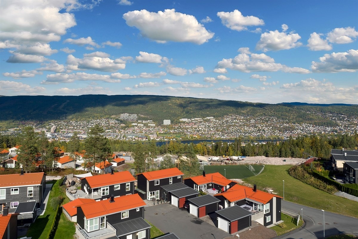 Flyfoto Galleribilde