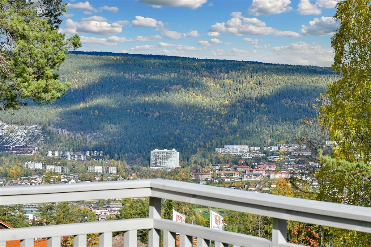 Hagen og uteplassene er solrike, med nydelig utsikt utover Drammen Galleribilde