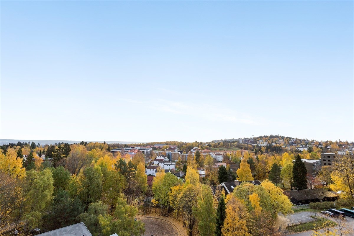 Utsikt. Galleribilde