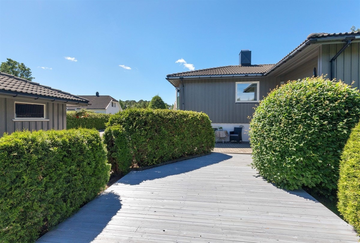 Stor hage med stor solrik platting Galleribilde