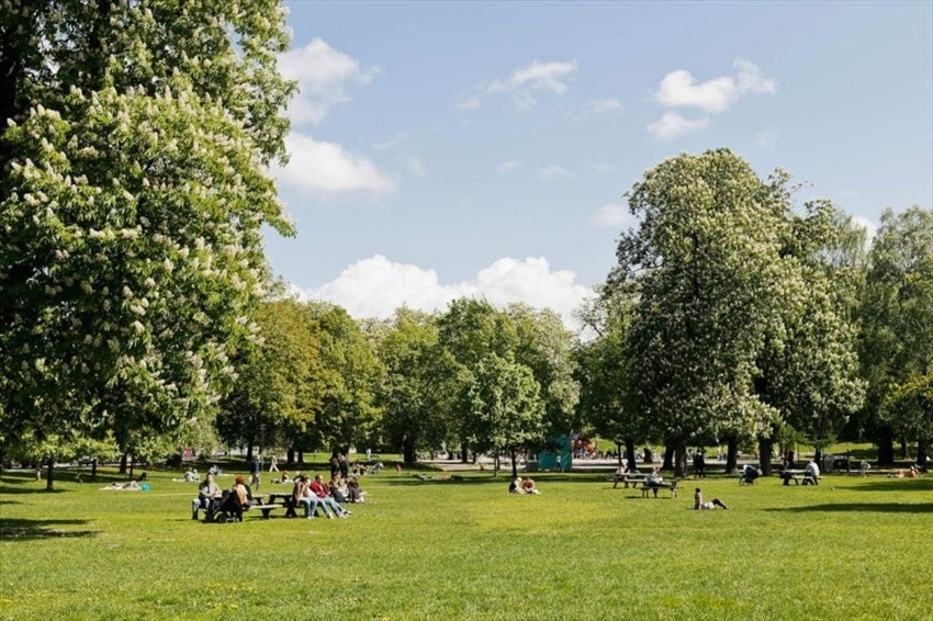Sofienbergparken i kort gange. Galleribilde