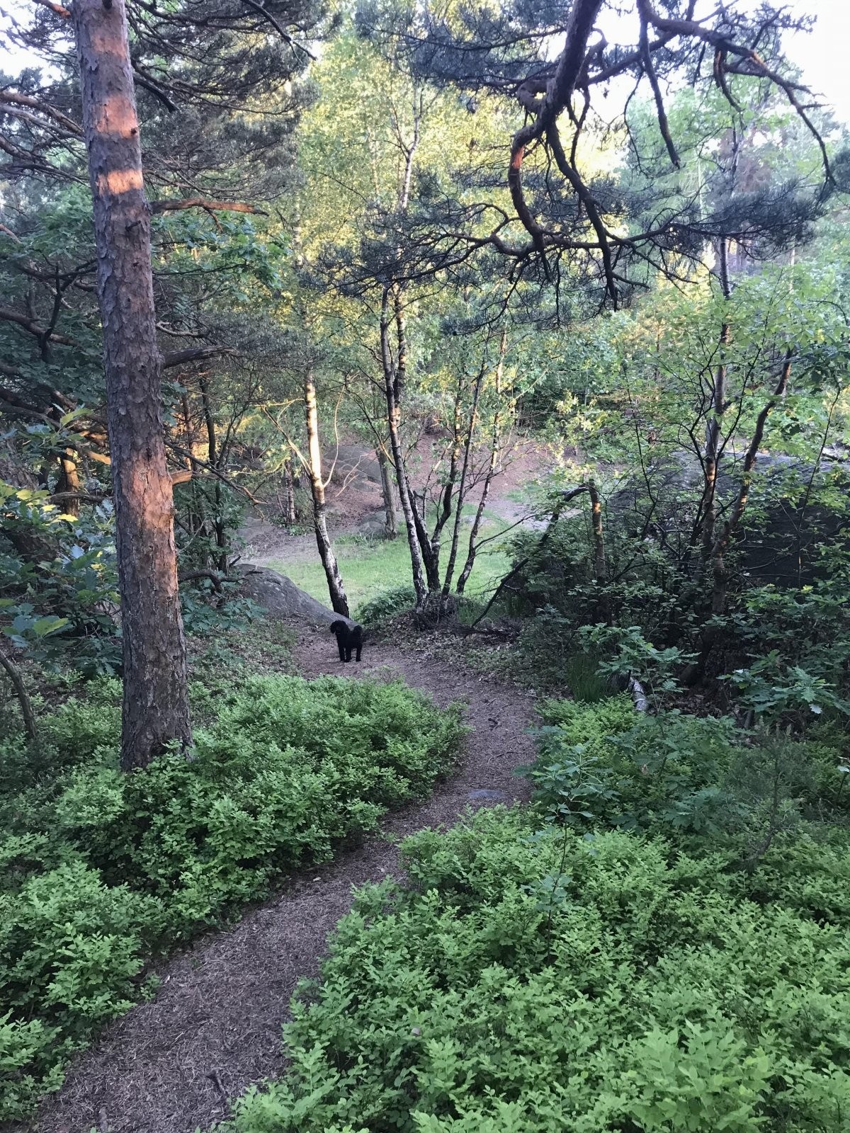 Flotte turstier i området Galleribilde