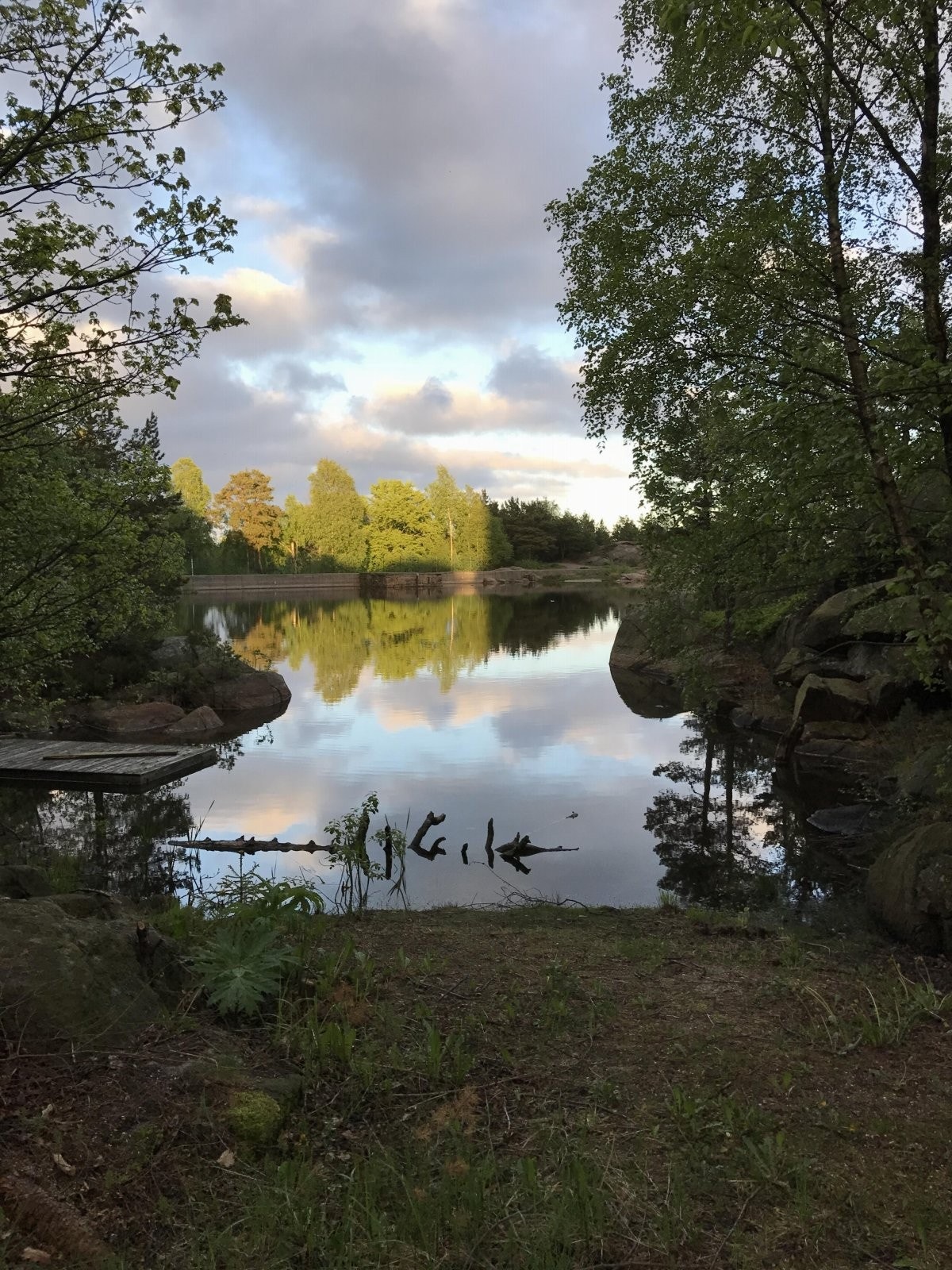 Detaljbilde fra nærområde Galleribilde