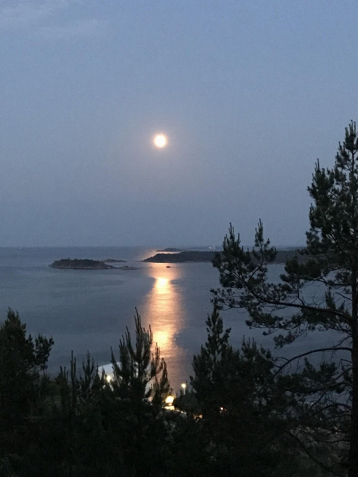 Kveldstemning ved Duekniben Galleribilde