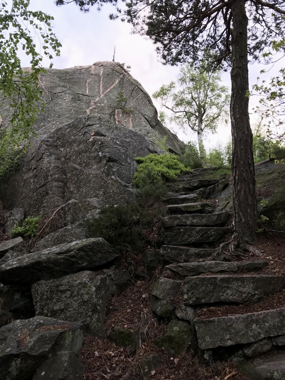 Detaljbilde fra nærområde Galleribilde