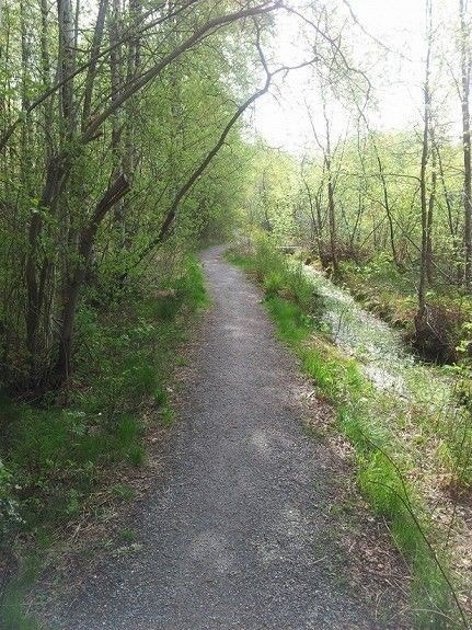 Nydelige turområder Galleribilde