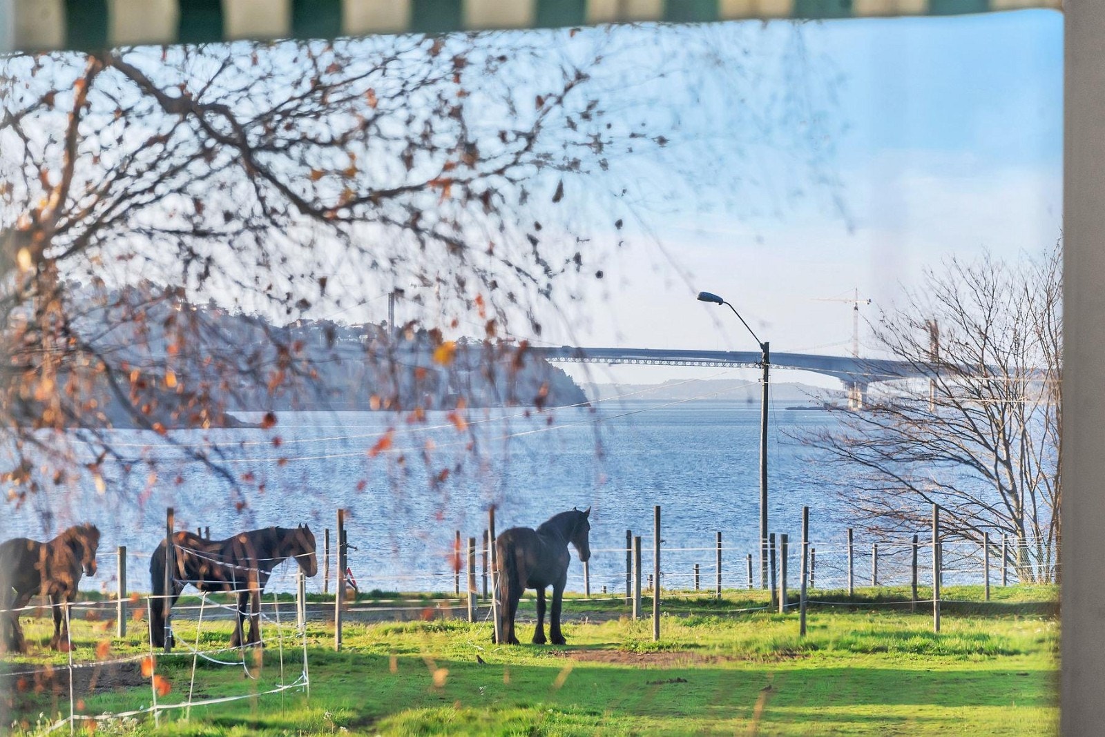 Utsikt fra stue Galleribilde