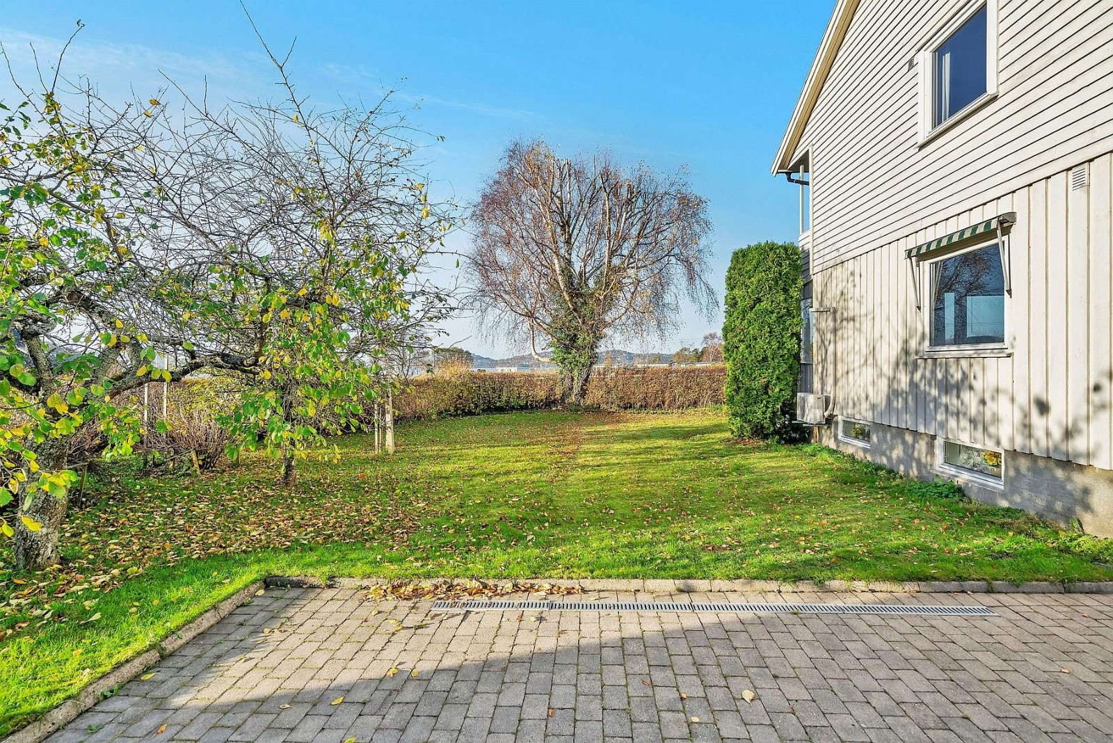 Usjenert og hyggelig hage. Galleribilde