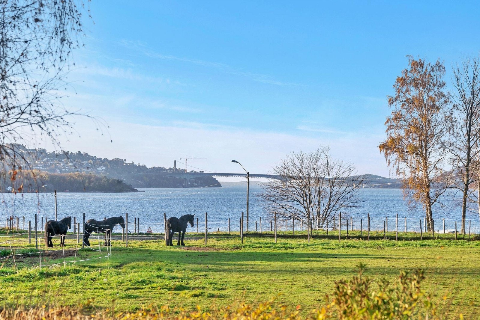 Fantastisk utsikt over Topdalsfjorden. Galleribilde