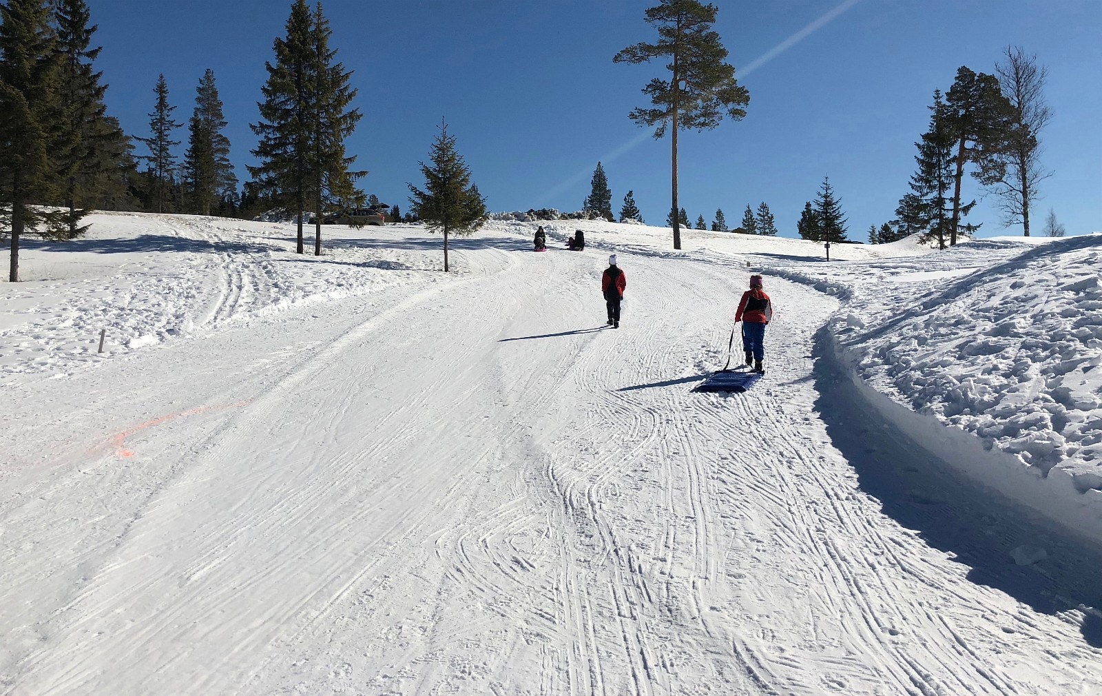 Akebakken er populær Galleribilde