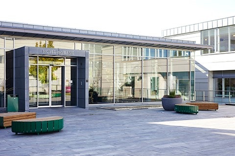 Stor romslig plass ved inngangen Galleribilde