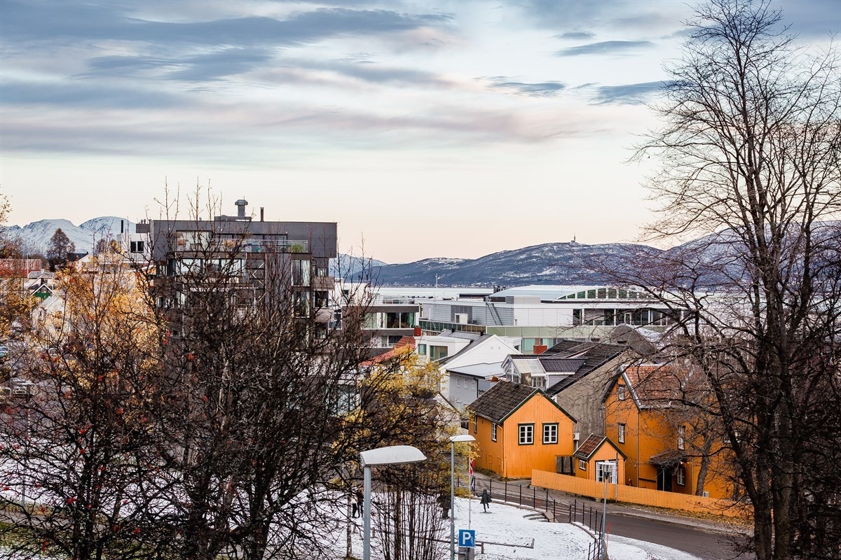 Utsikt Galleribilde
