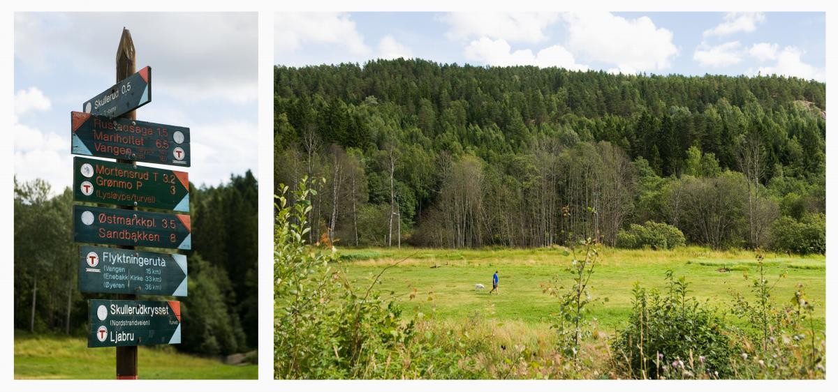 Østmarka. Galleribilde