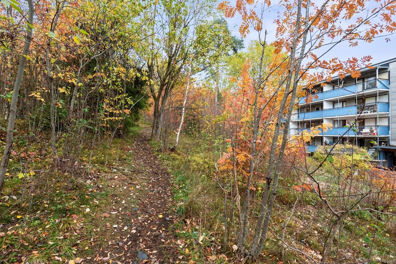 Fra borettslaget går det tursti og asfaltert gangvei mot friområdet Mærradalen. Vinterstid kjøres det opp skispor der. Galleribilde