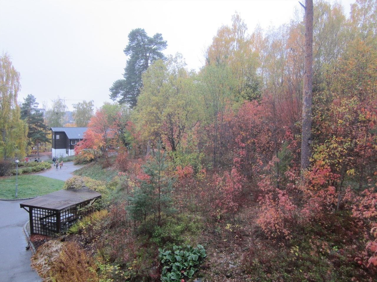 Høststemning Galleribilde