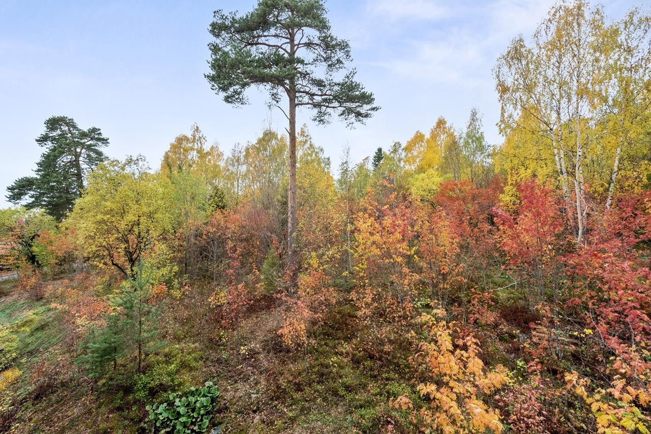 Fra balkongen har man nydelig naturskjønn utsikt mot koselig skogholt Galleribilde