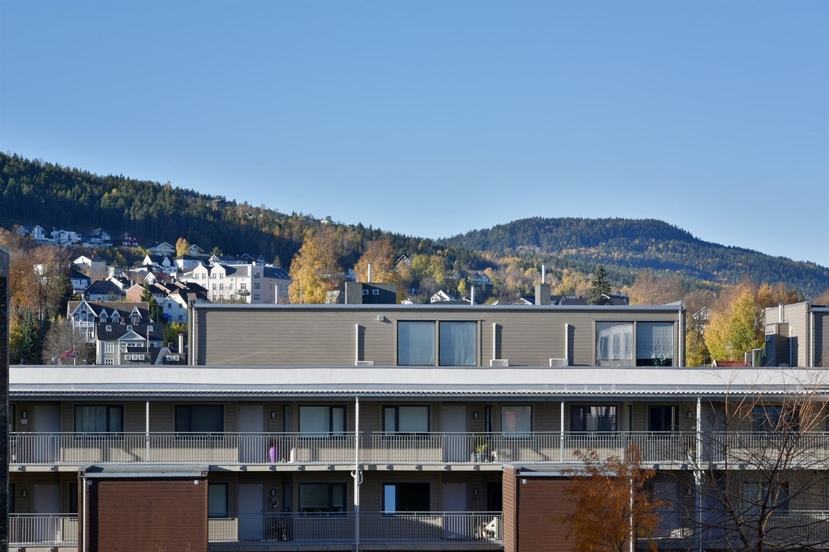 Utsikt fra terrassen. Galleribilde