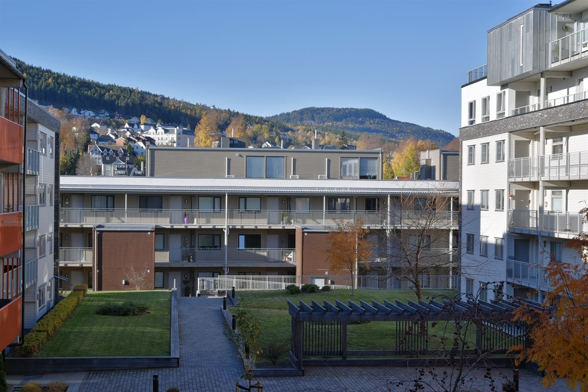 Utsikt fra terrassen. Galleribilde
