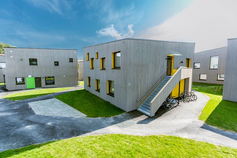 Campus Kjølnes Galleribilde