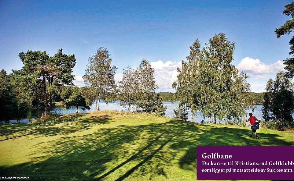 golfbane.JPG Galleribilde