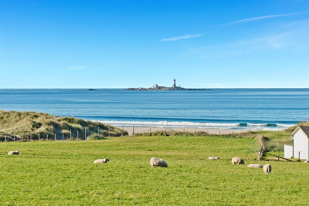 Ikke lange veien unna finner du flere flotte strender. Galleribilde