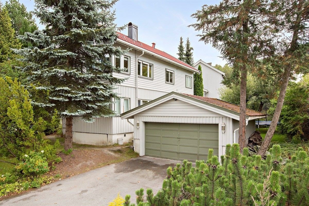 Fasade. Galleribilde