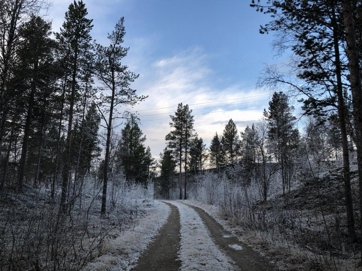 Etter avkjørsel fra hovedveg tar du første avkjørsel til venstre.