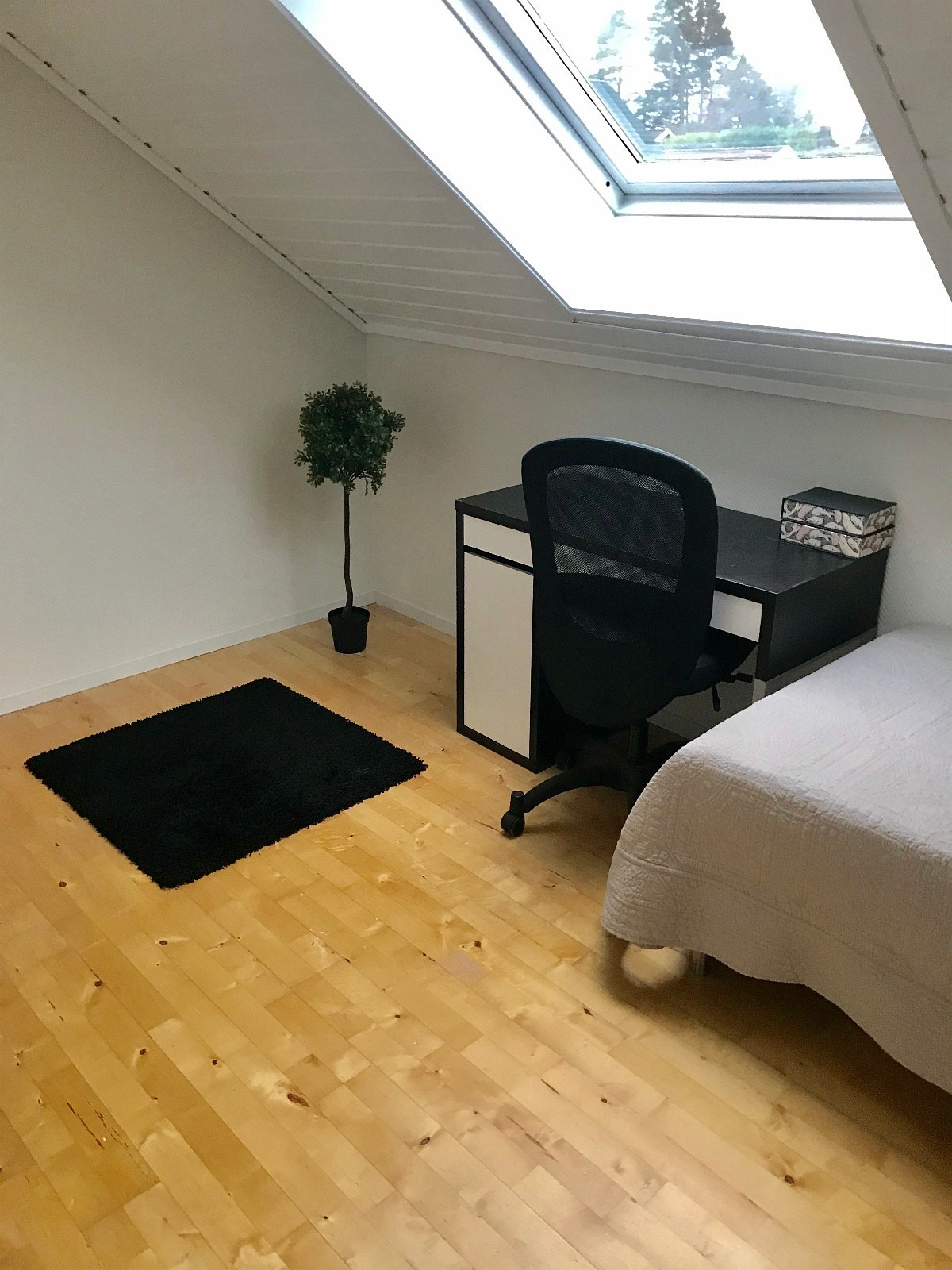 Soverom 3 Galleribilde