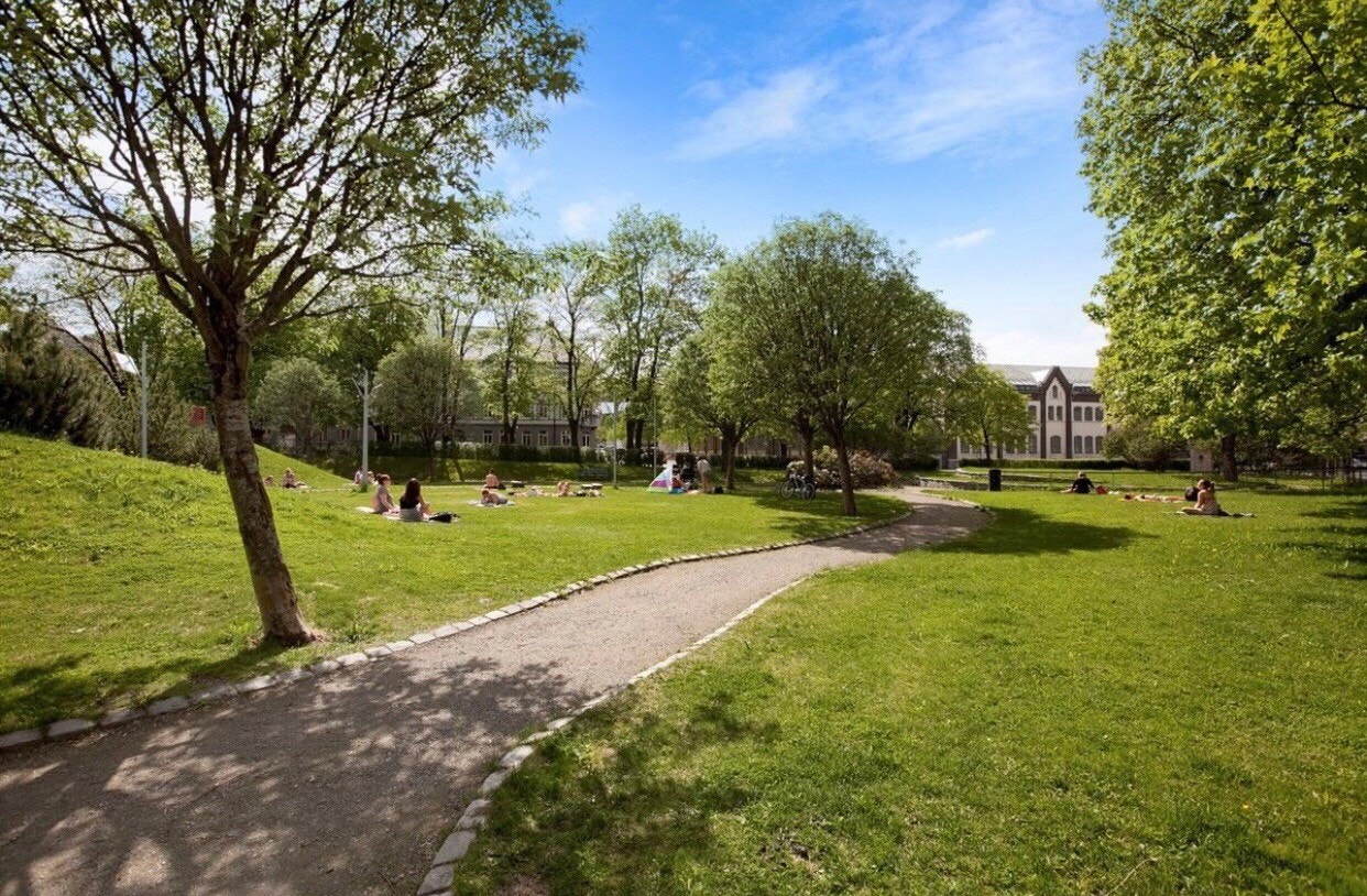 Lademoenparken, rett over gata. Galleribilde